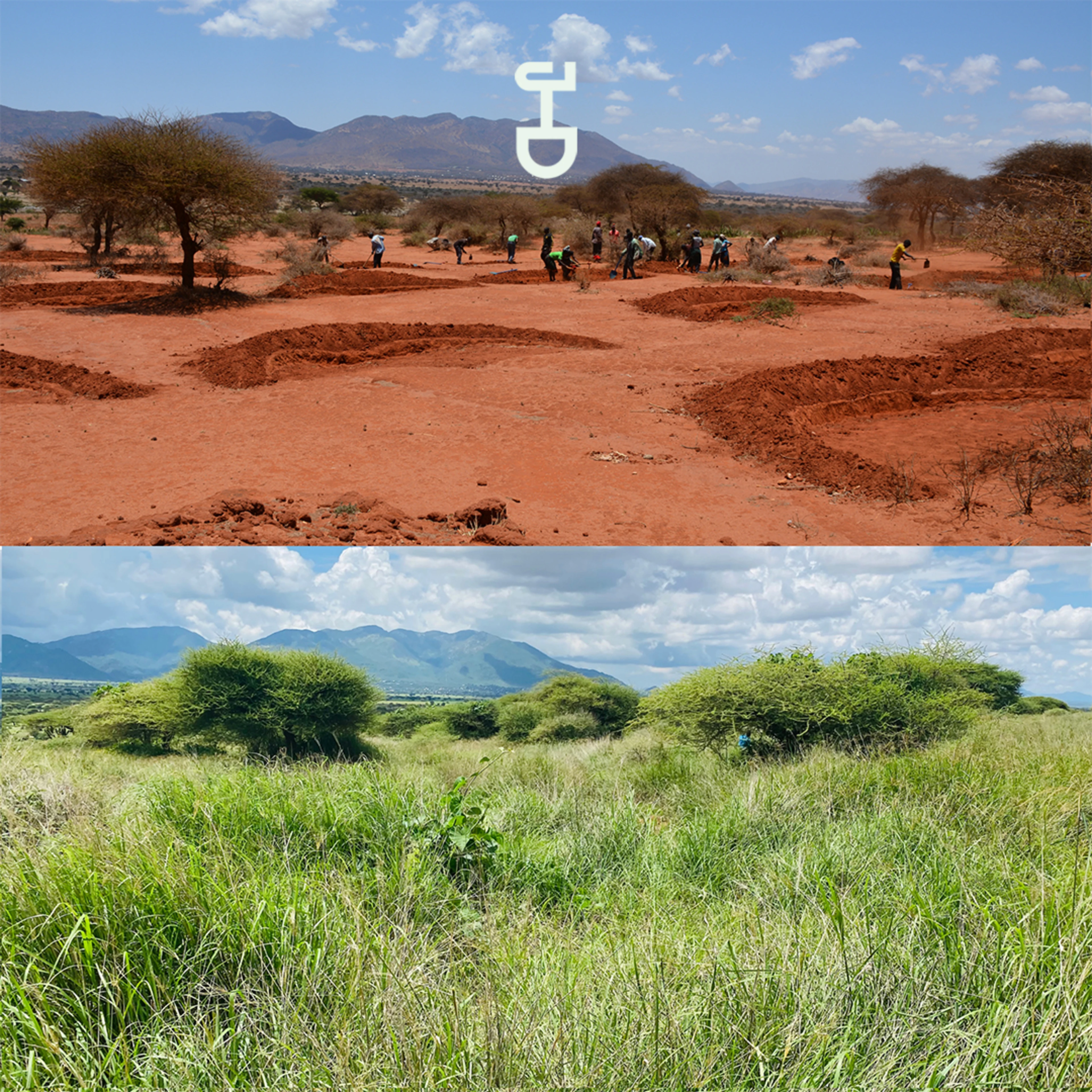 Bunds before and after - Tanzania