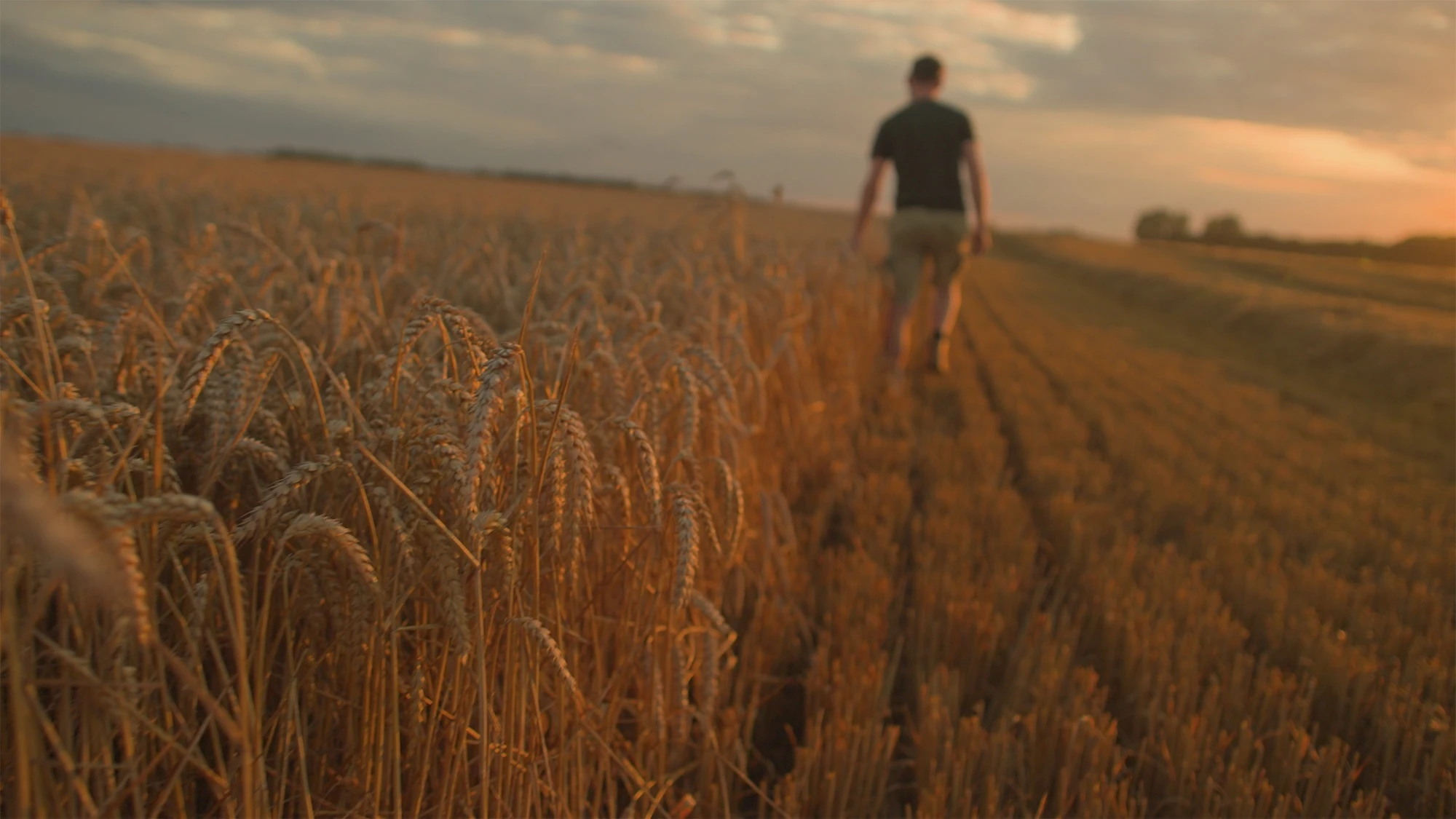 Agreena project page header image