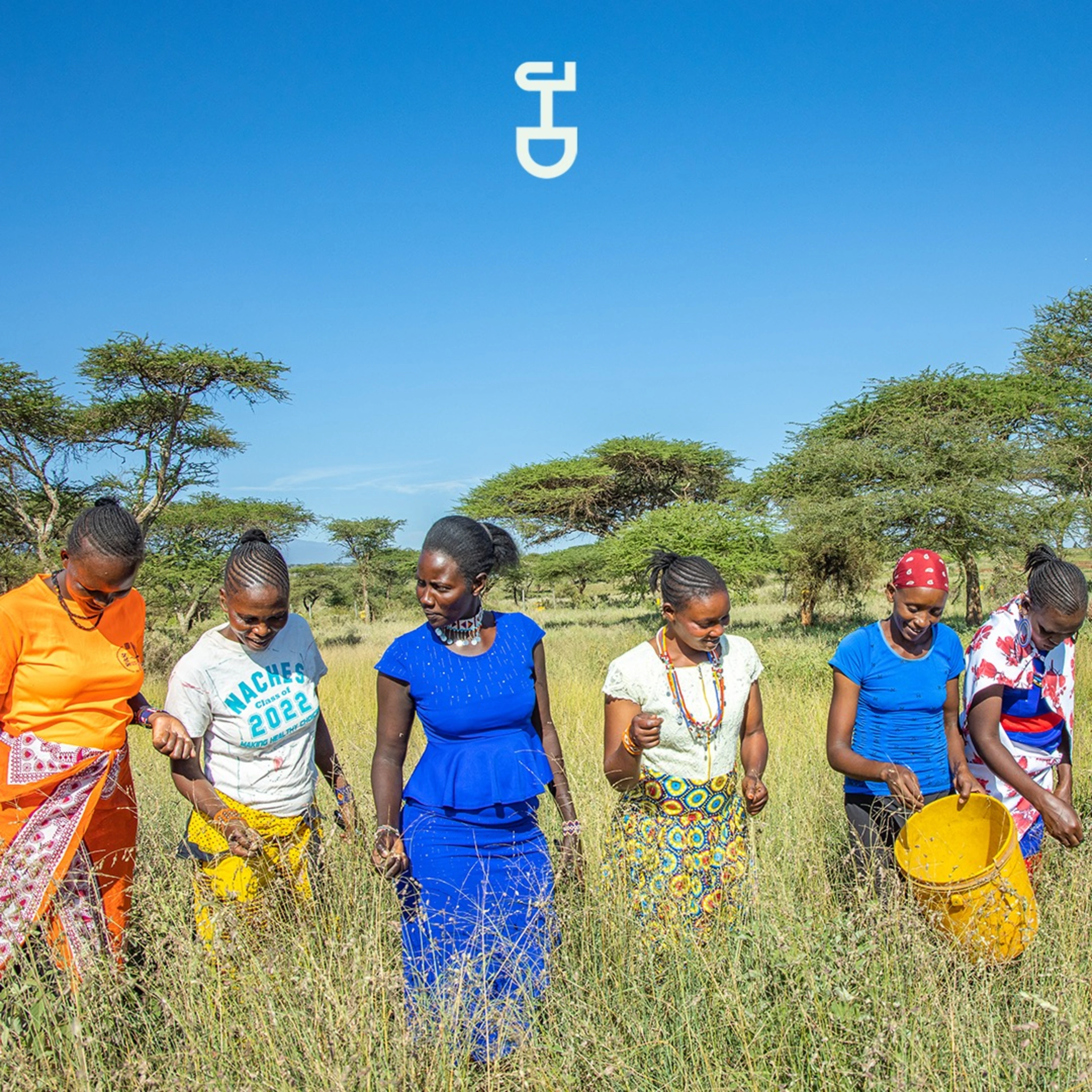 Women Grass seed bank