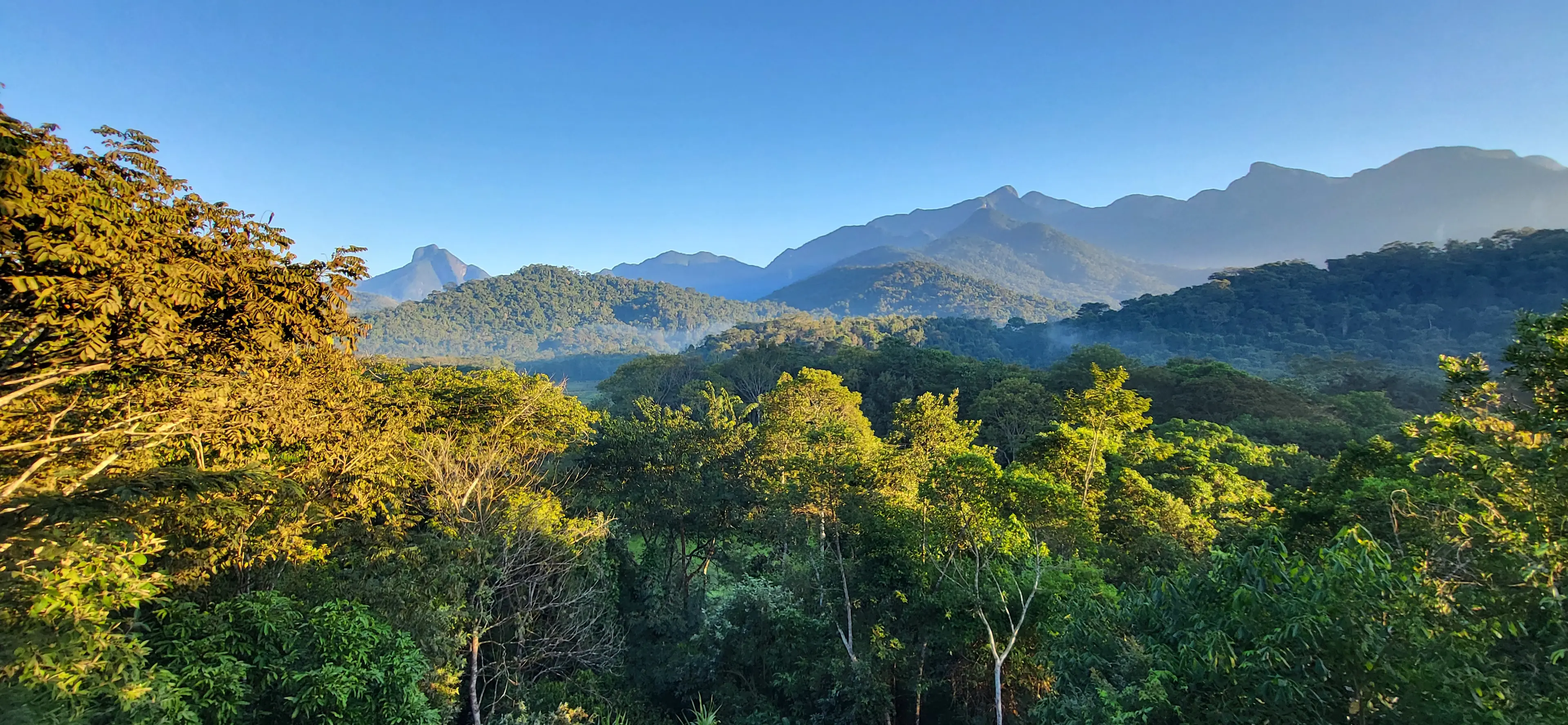 World Land Trust - reserve