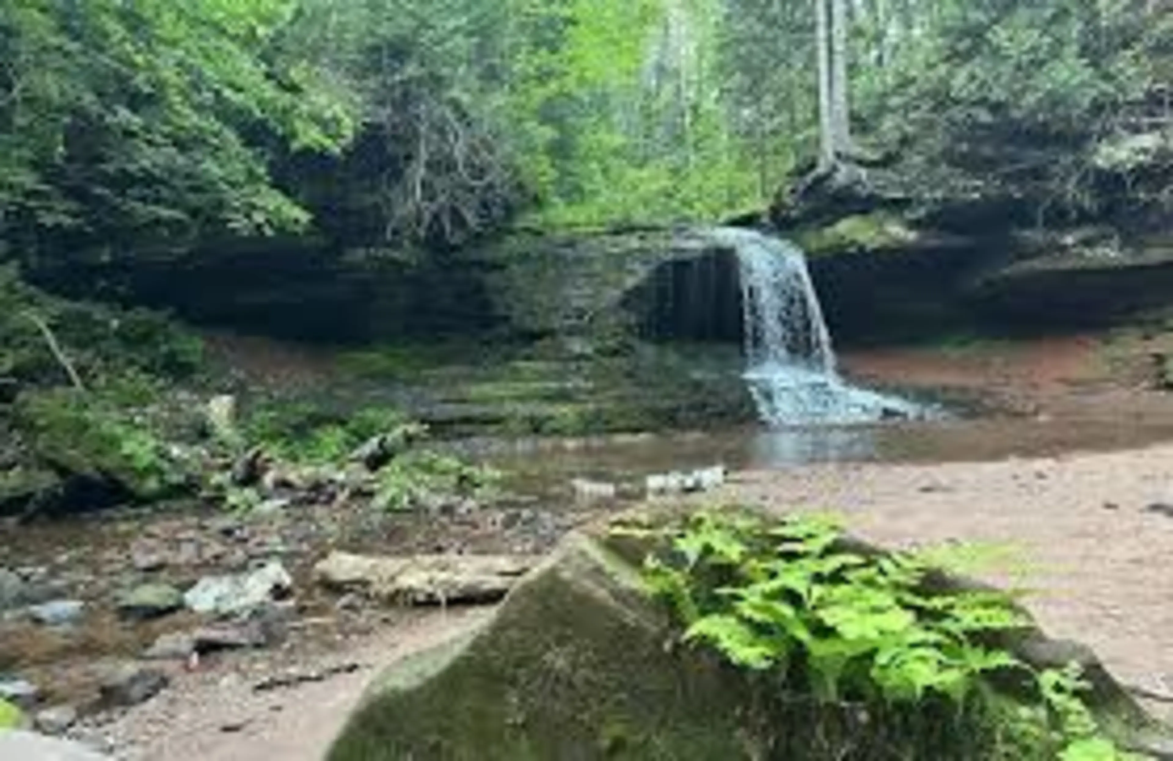 Bayfield County Forest Project from google images