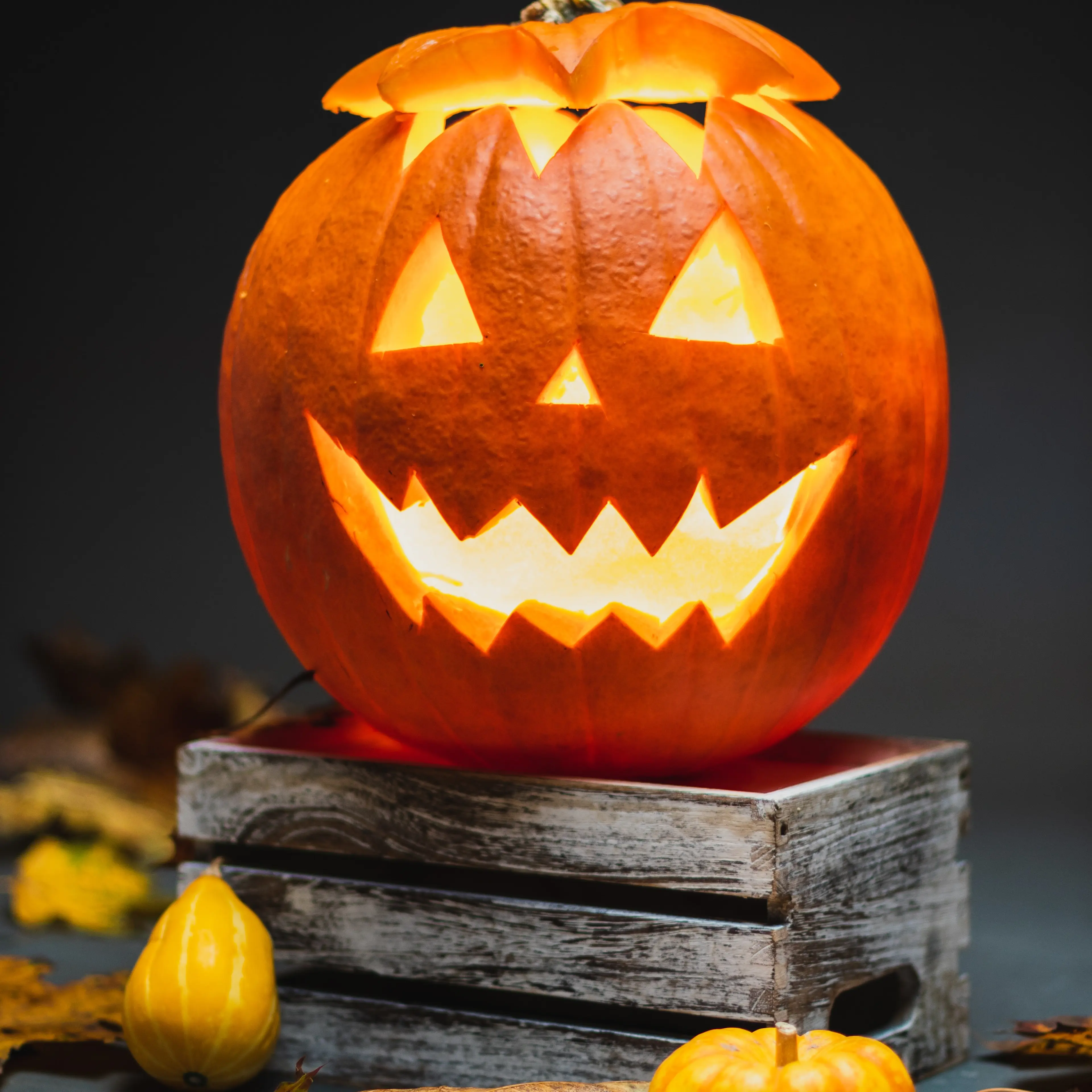 pumpkin party