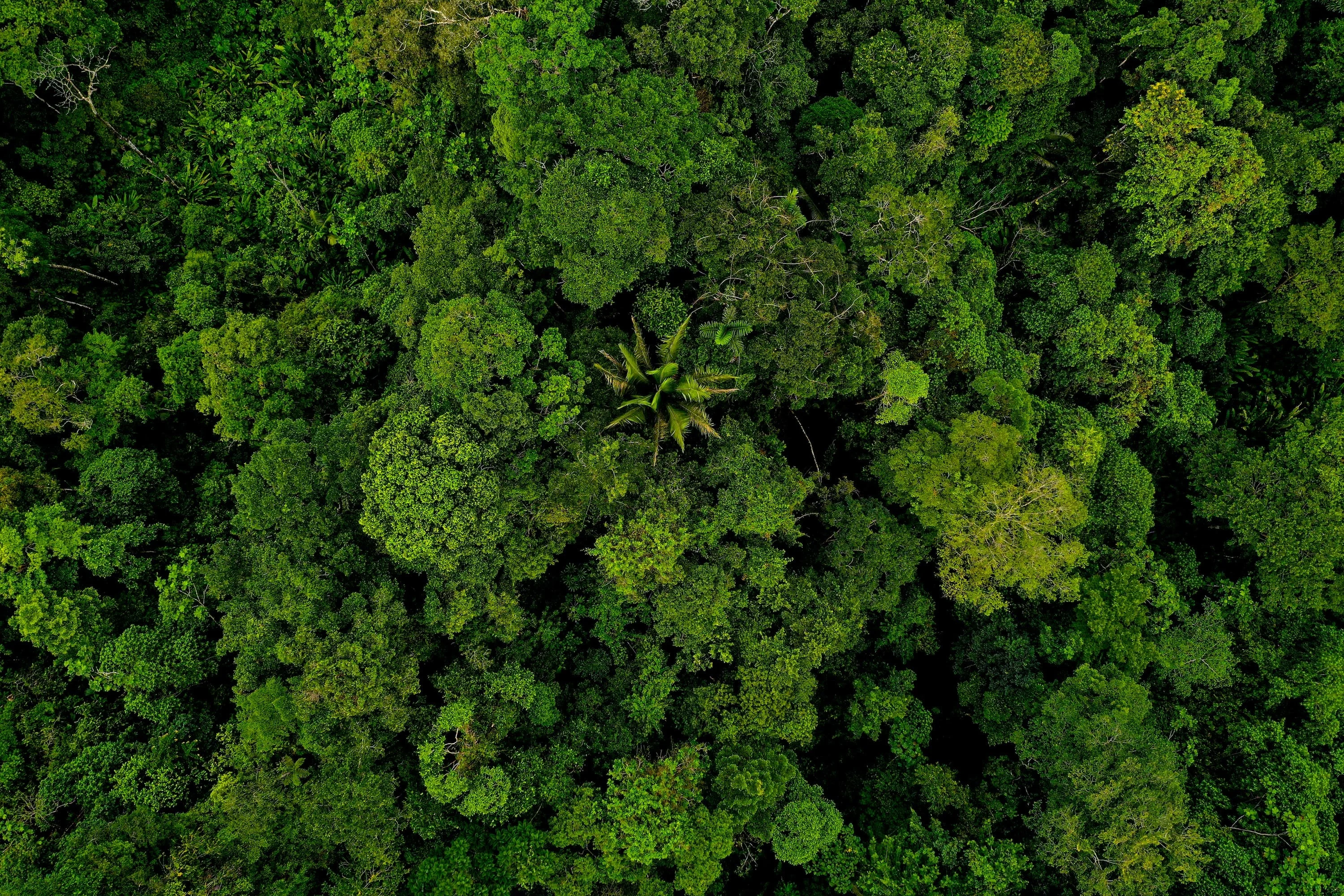 Shutterstock with standard licence
Stock Photo ID: 1947236662