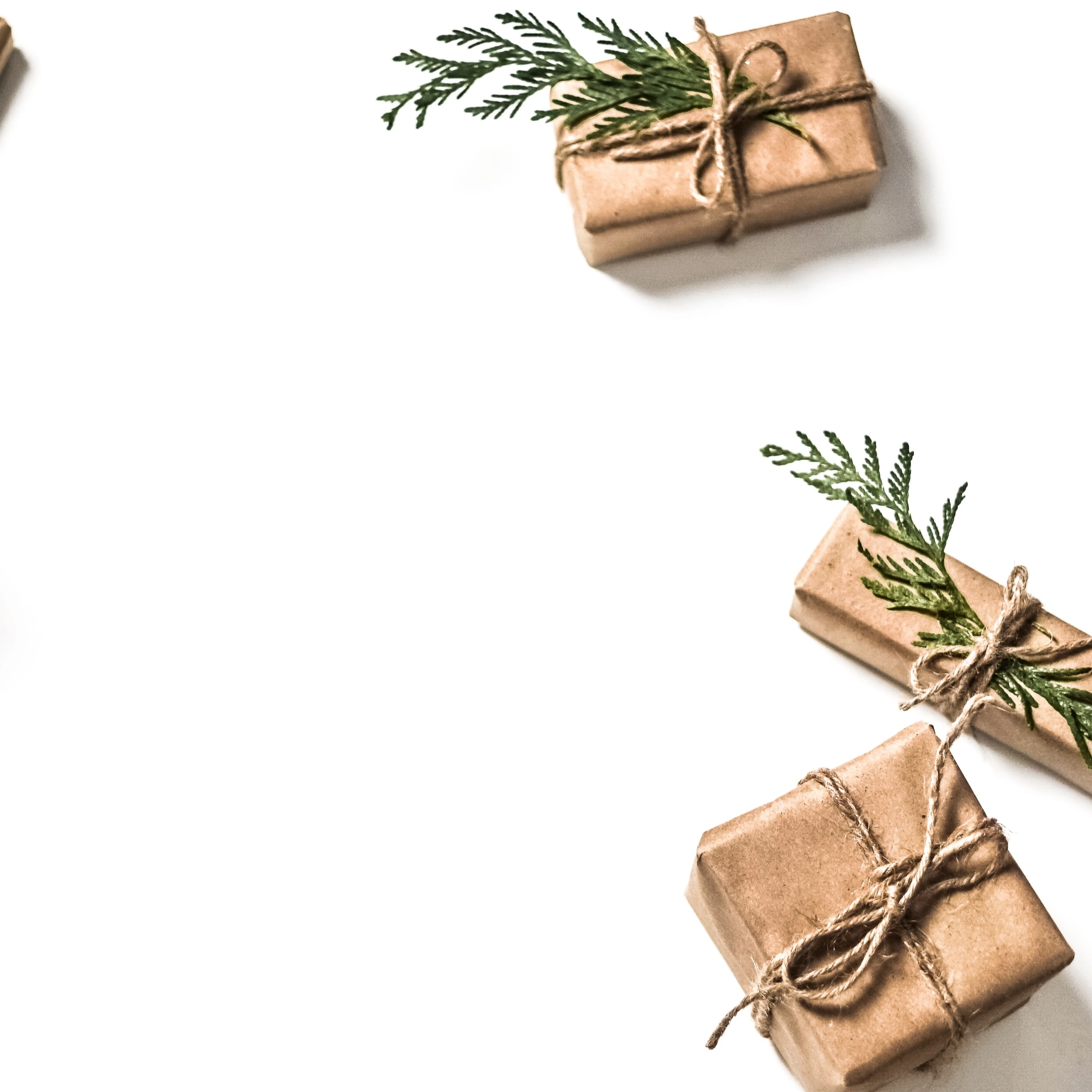 sustainable gifting