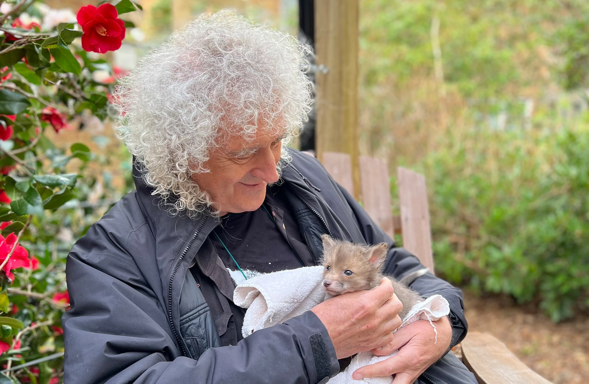 Brian May’s Save Me Trust | Pinwheel