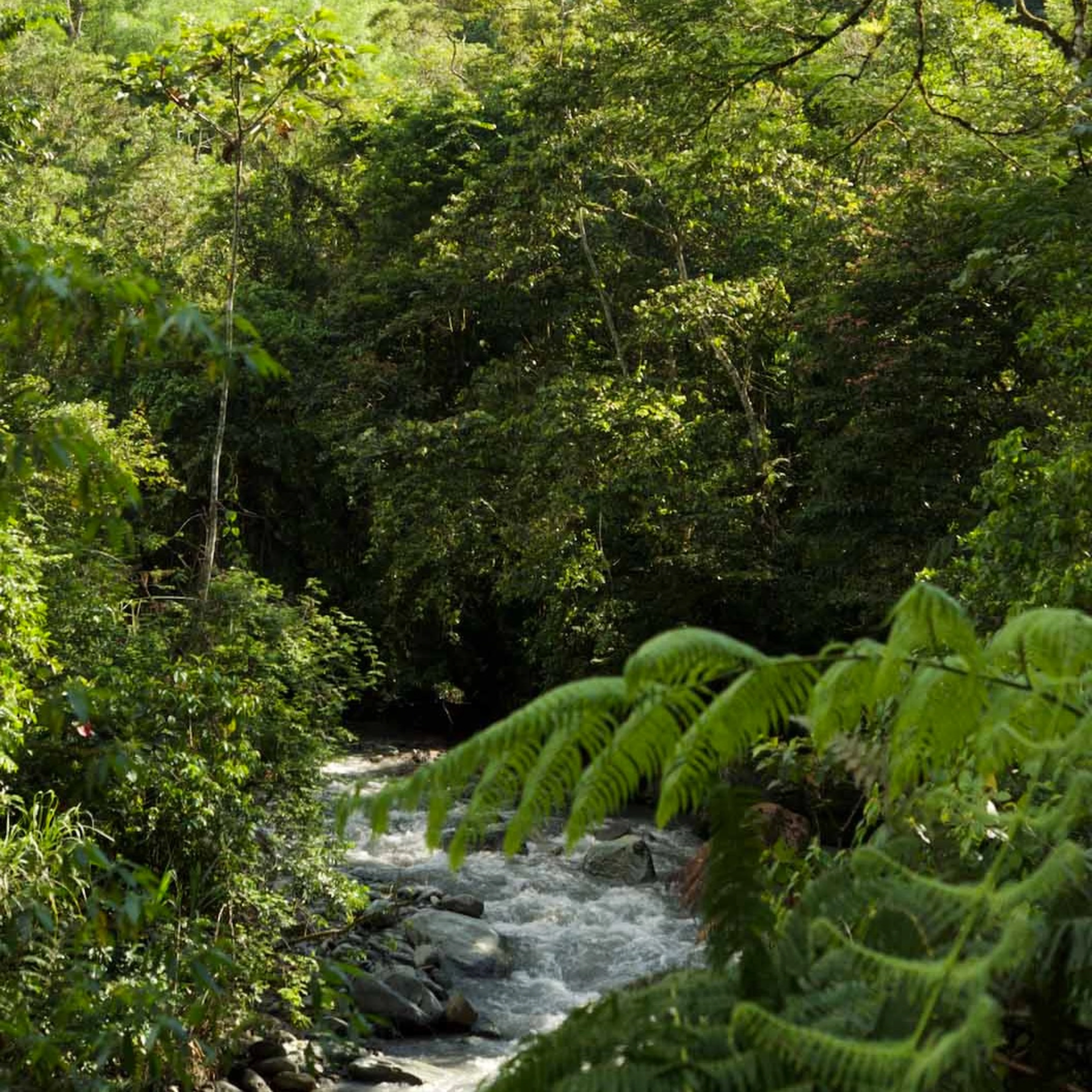 Frieze LA - art for acres