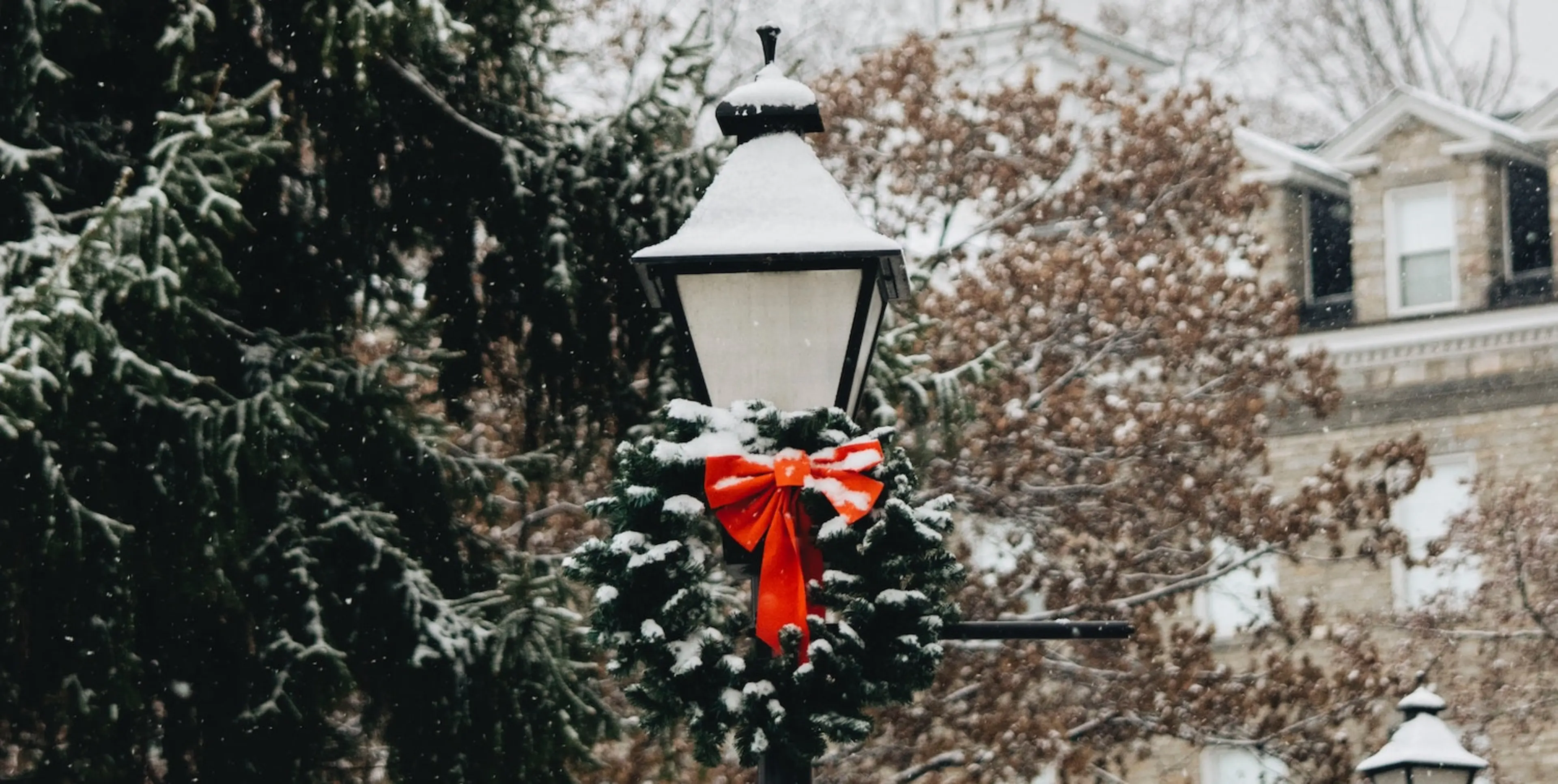 Hero image for greener christmas