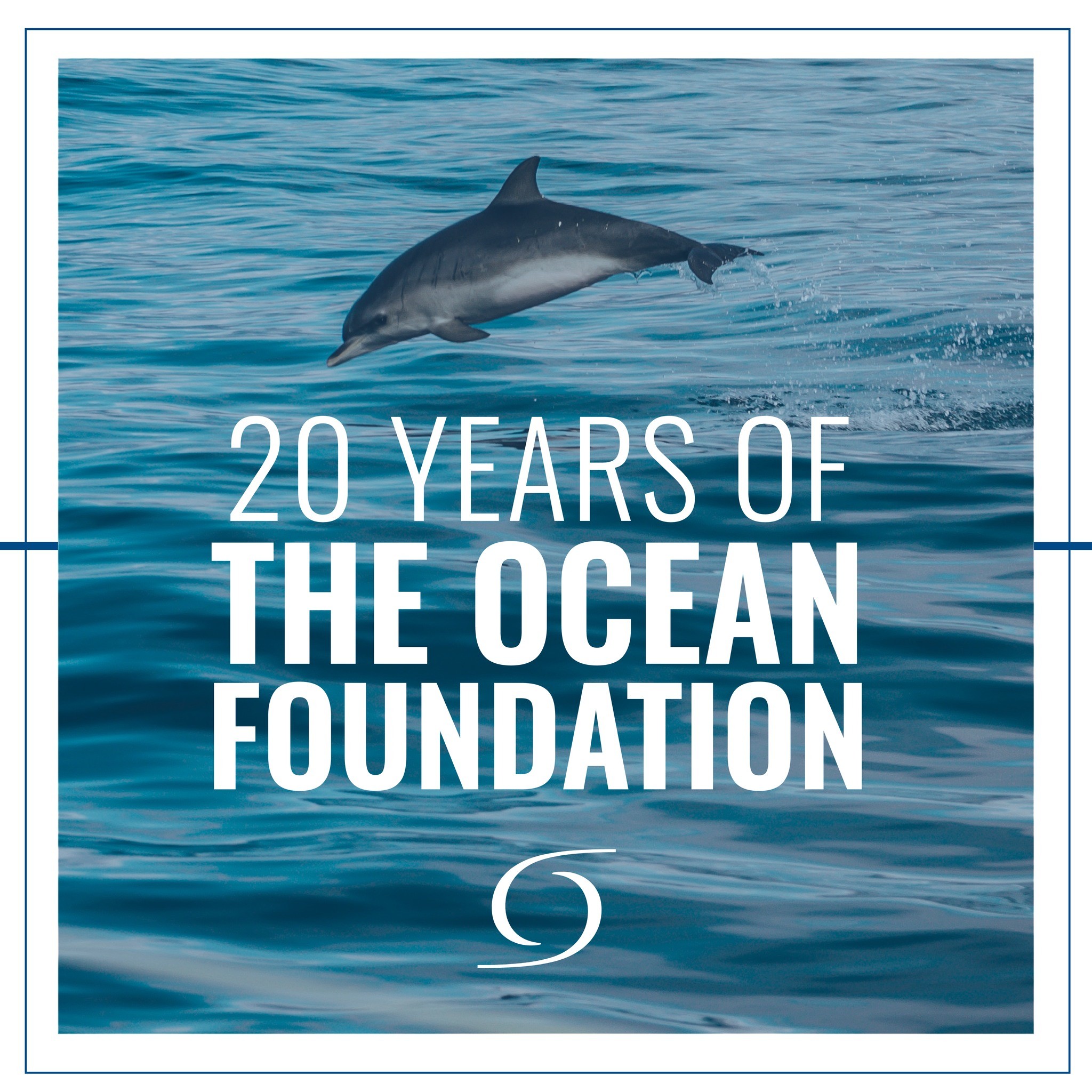 Ocean Foundation image 