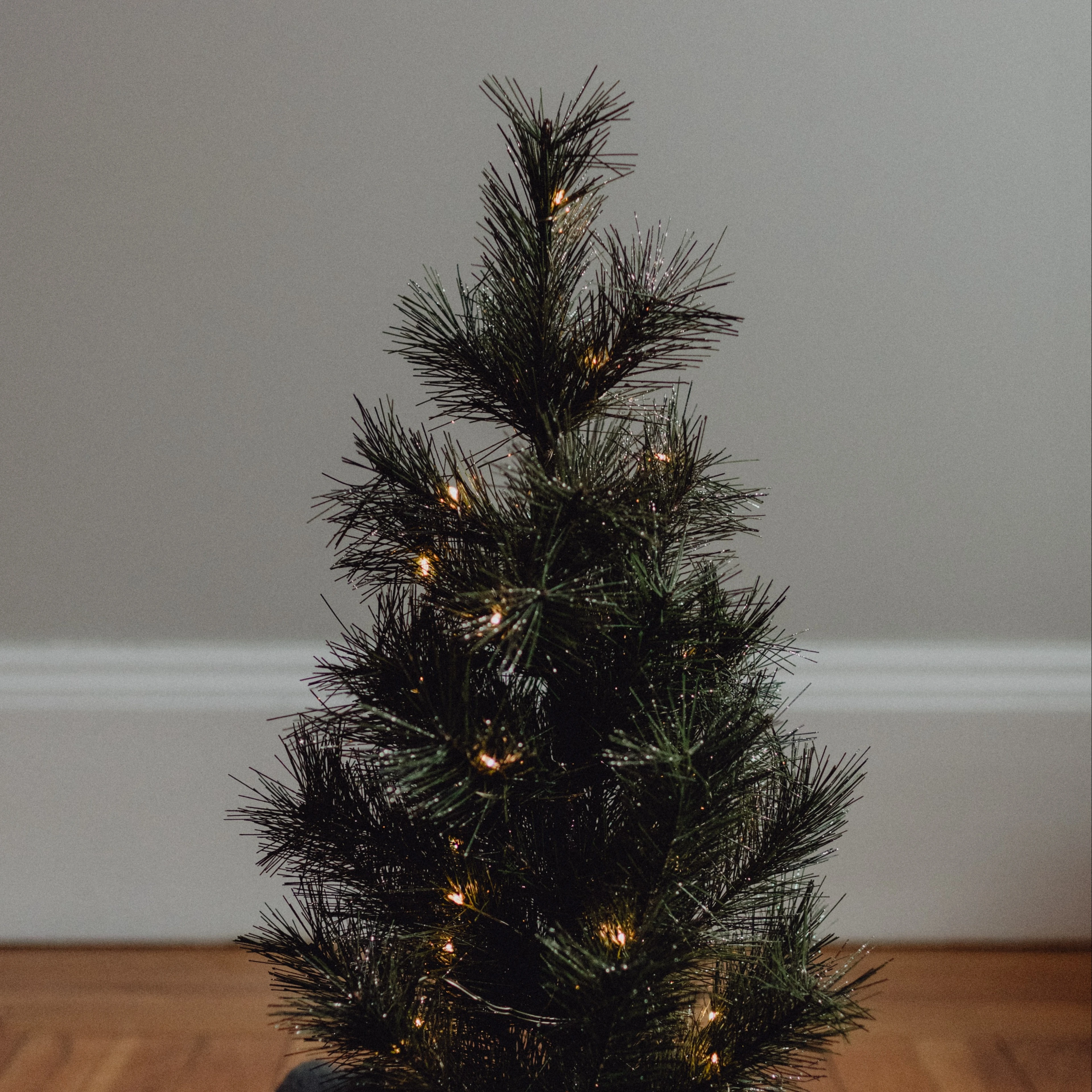 rented christmas tree