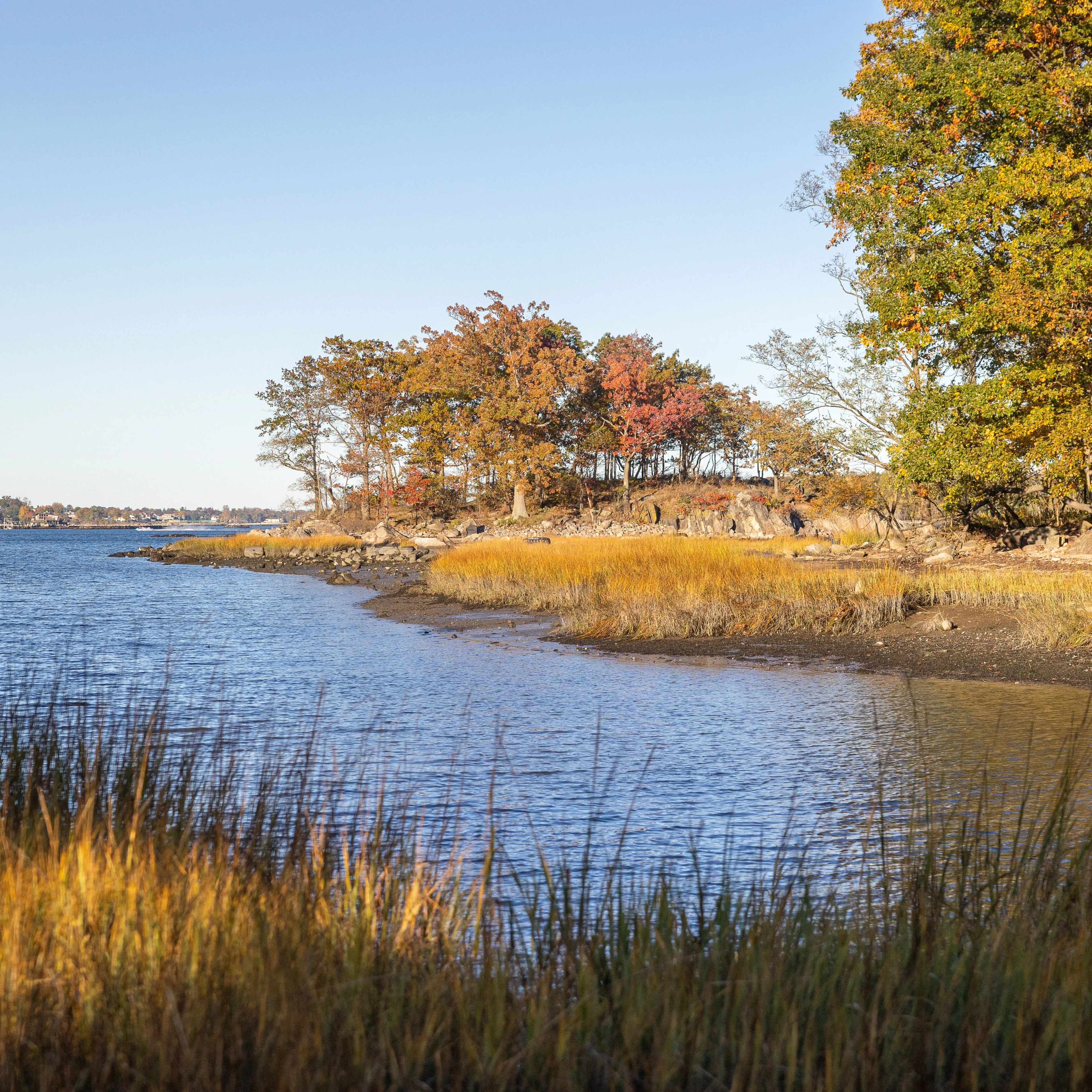 Natural Areas Conservancy - carousel 3 