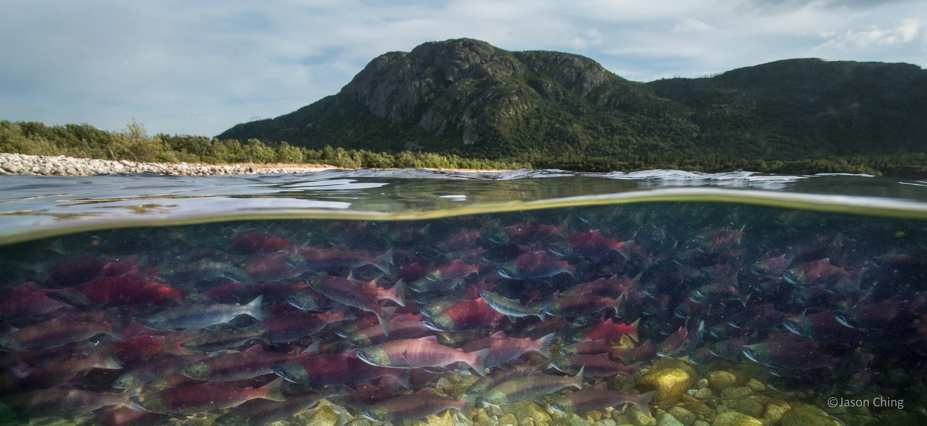 River scene for Dam Removal