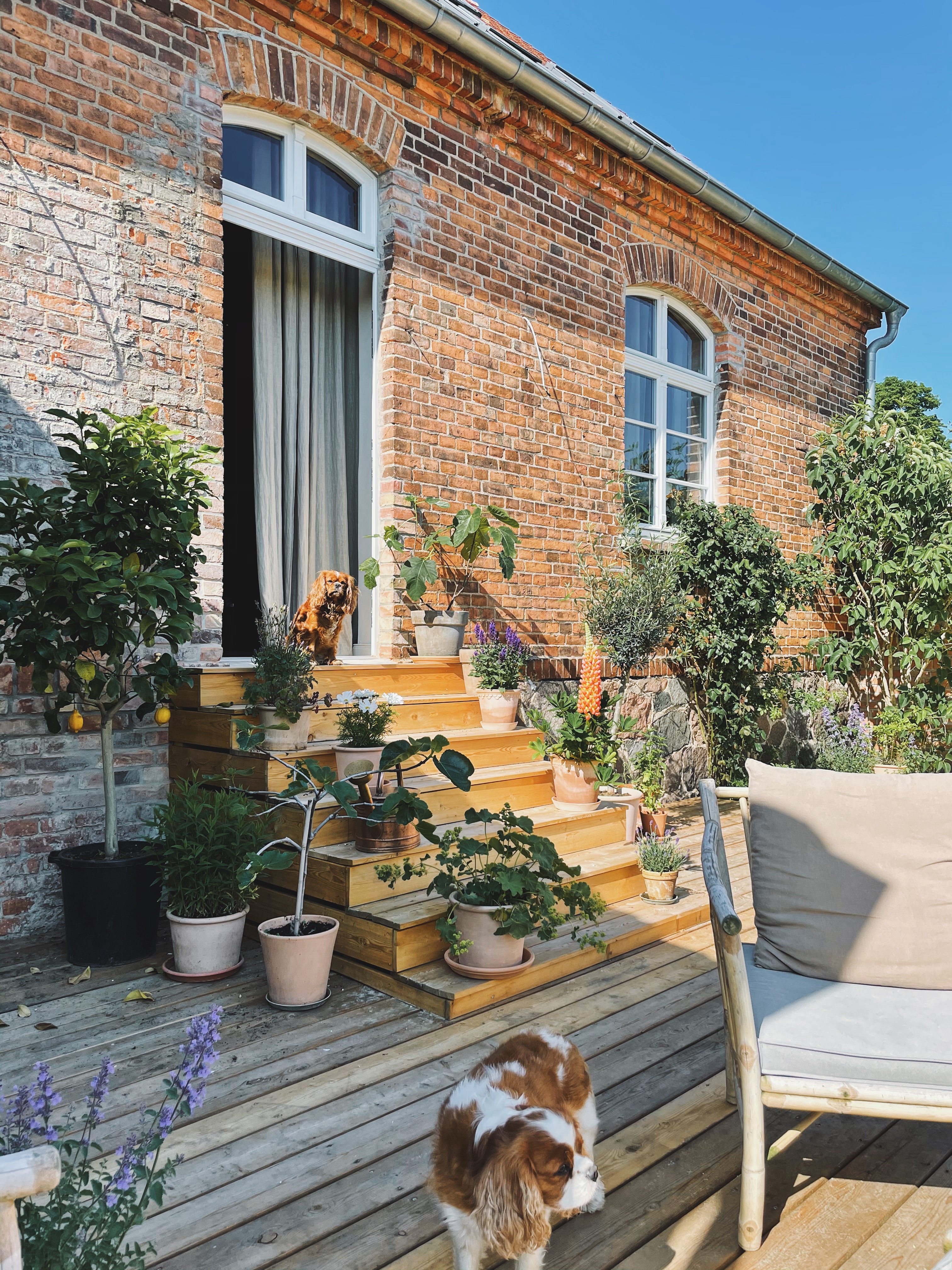 Sorpetaler-Designtales-Sprossenfenster-Altbau-17