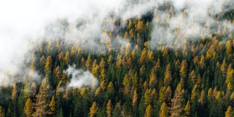 Gelebte Nachhaltigkeit