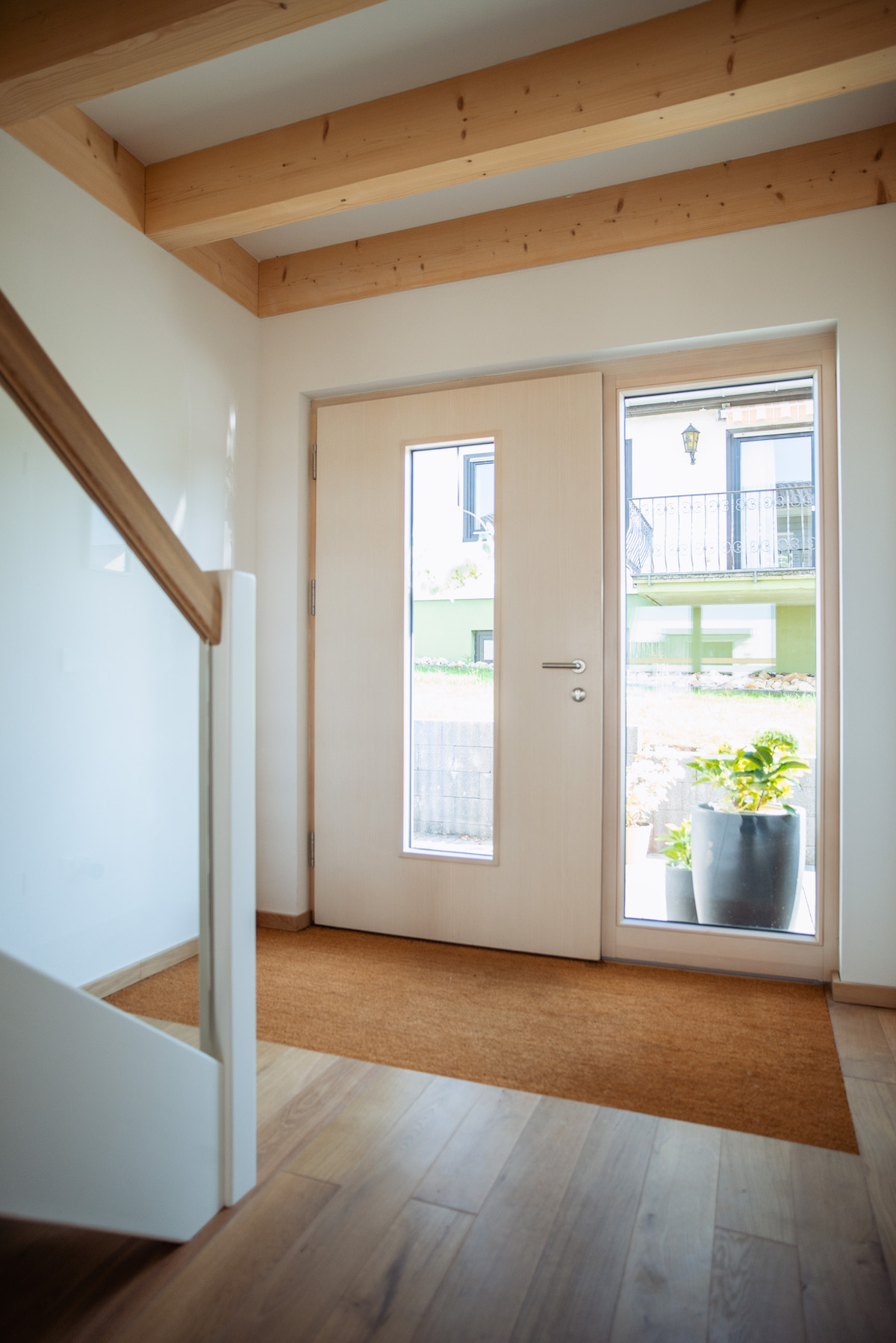 Ganzblatt-Haustür mit Lichtausschnitt