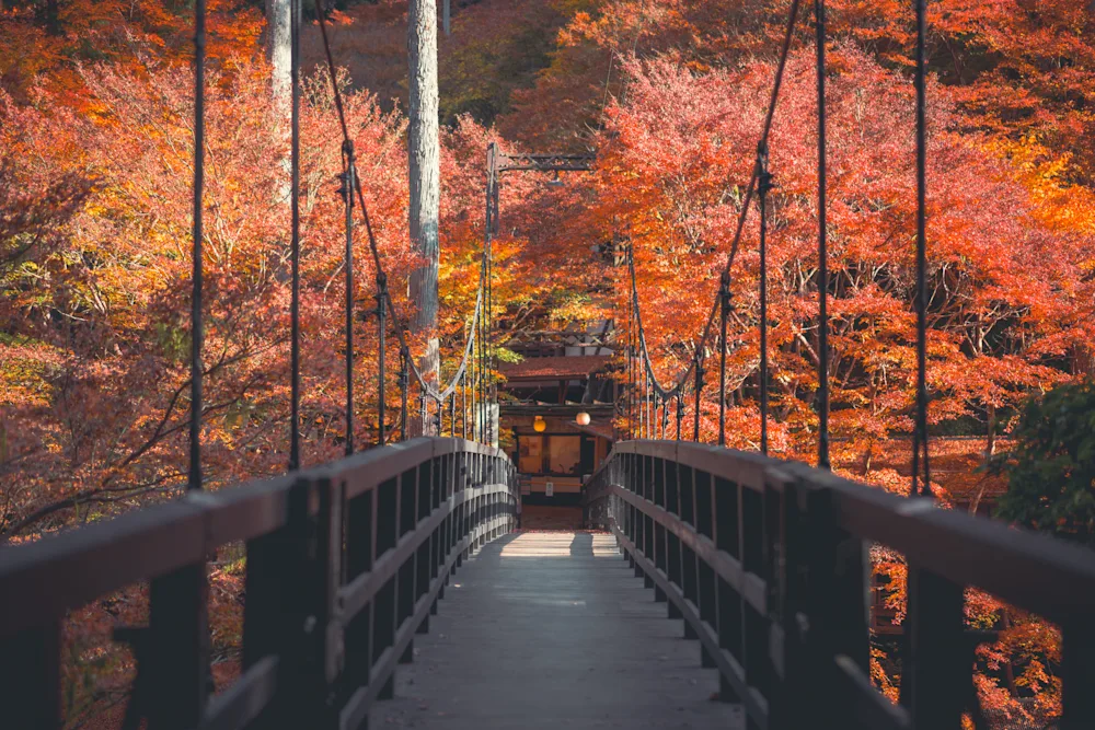 高雄橋