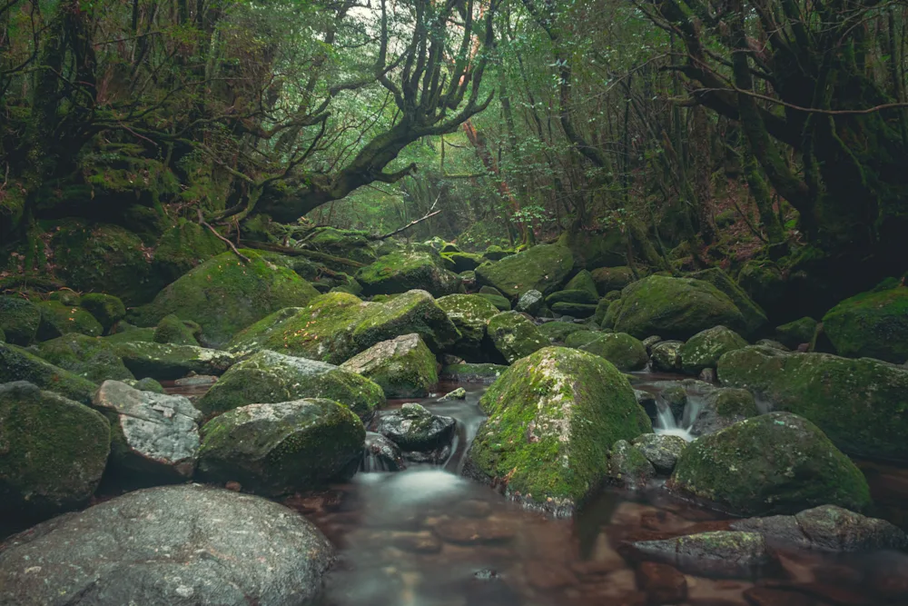 屋久島町