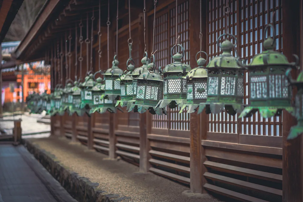 奈良公園