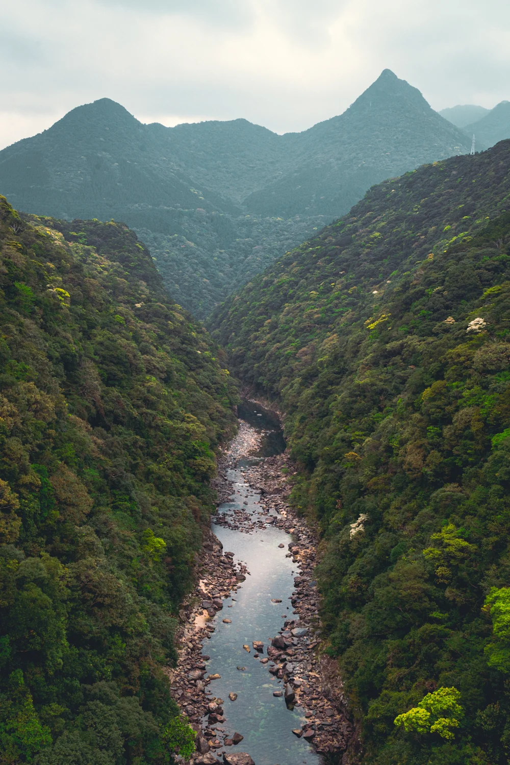 屋久島町