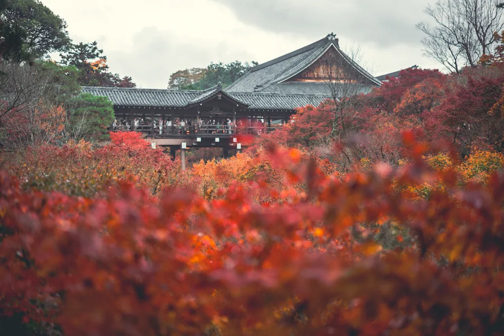 永観堂禅林寺