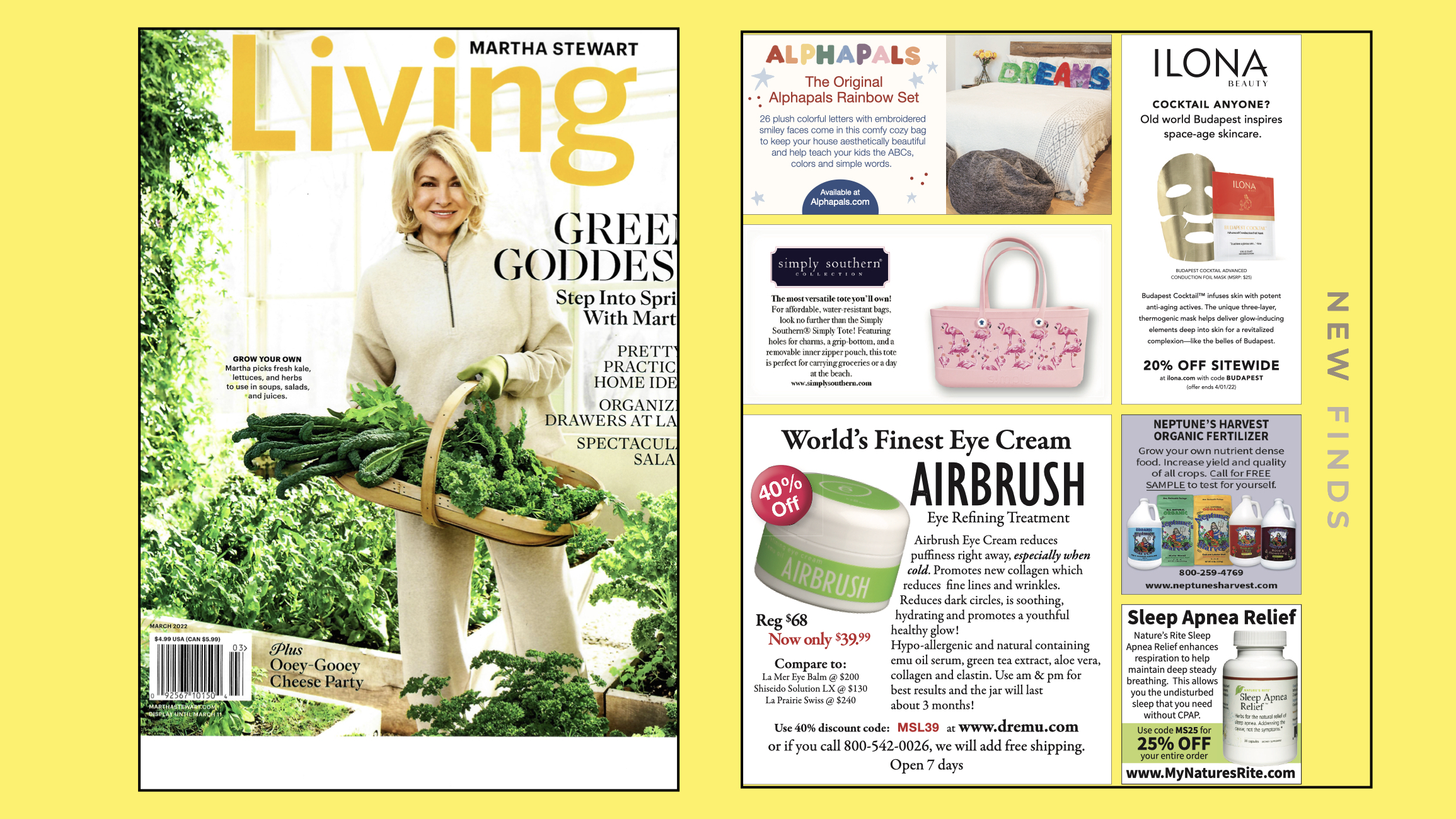 Alphapals Featured in Martha Stewart Living Magazine 