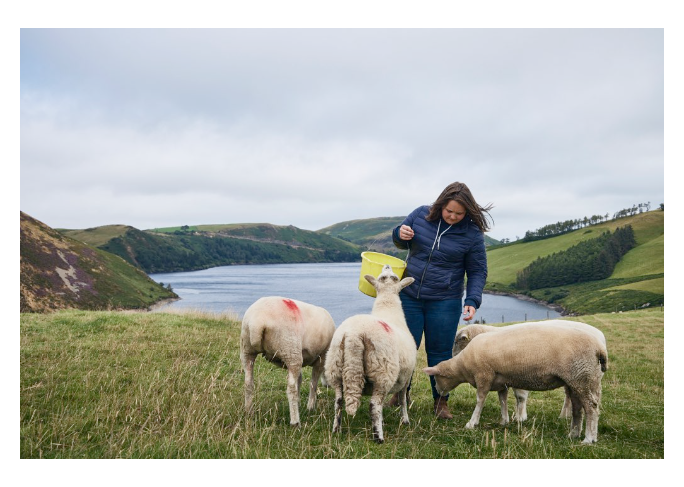 Access to a sustainable future - cover image