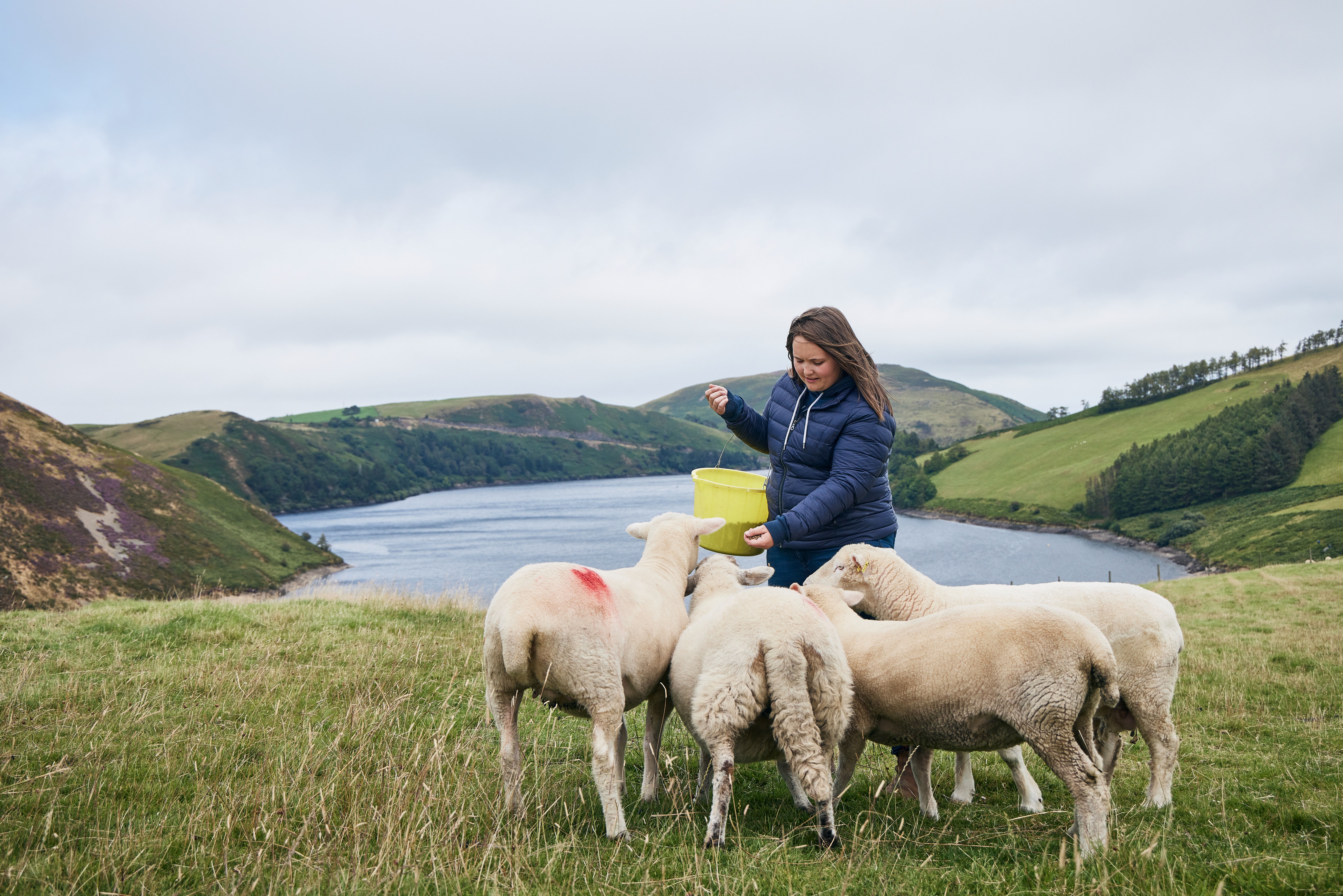 UNP Co Op 41618 Petrol Worksop Road Aston049