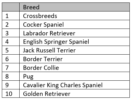 Top 10 dog breeds