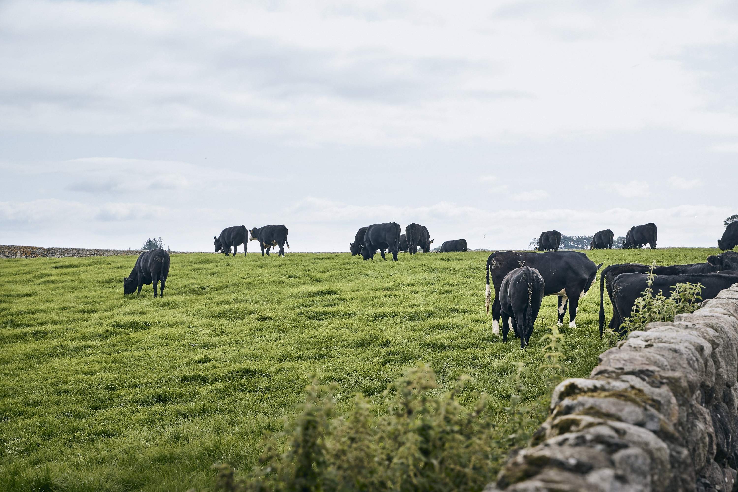 Farmers 