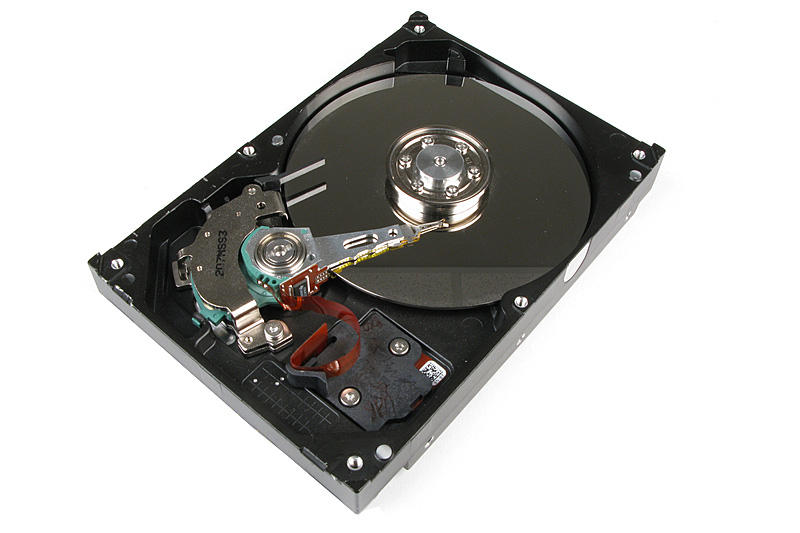 Western Digital 1 TB Hard Drive | WD10JFCX | OnLogic