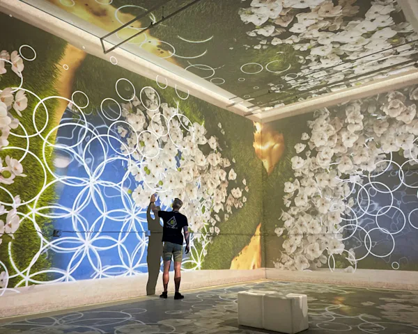 A man interacting with projection mapping by NOVA Light Labs