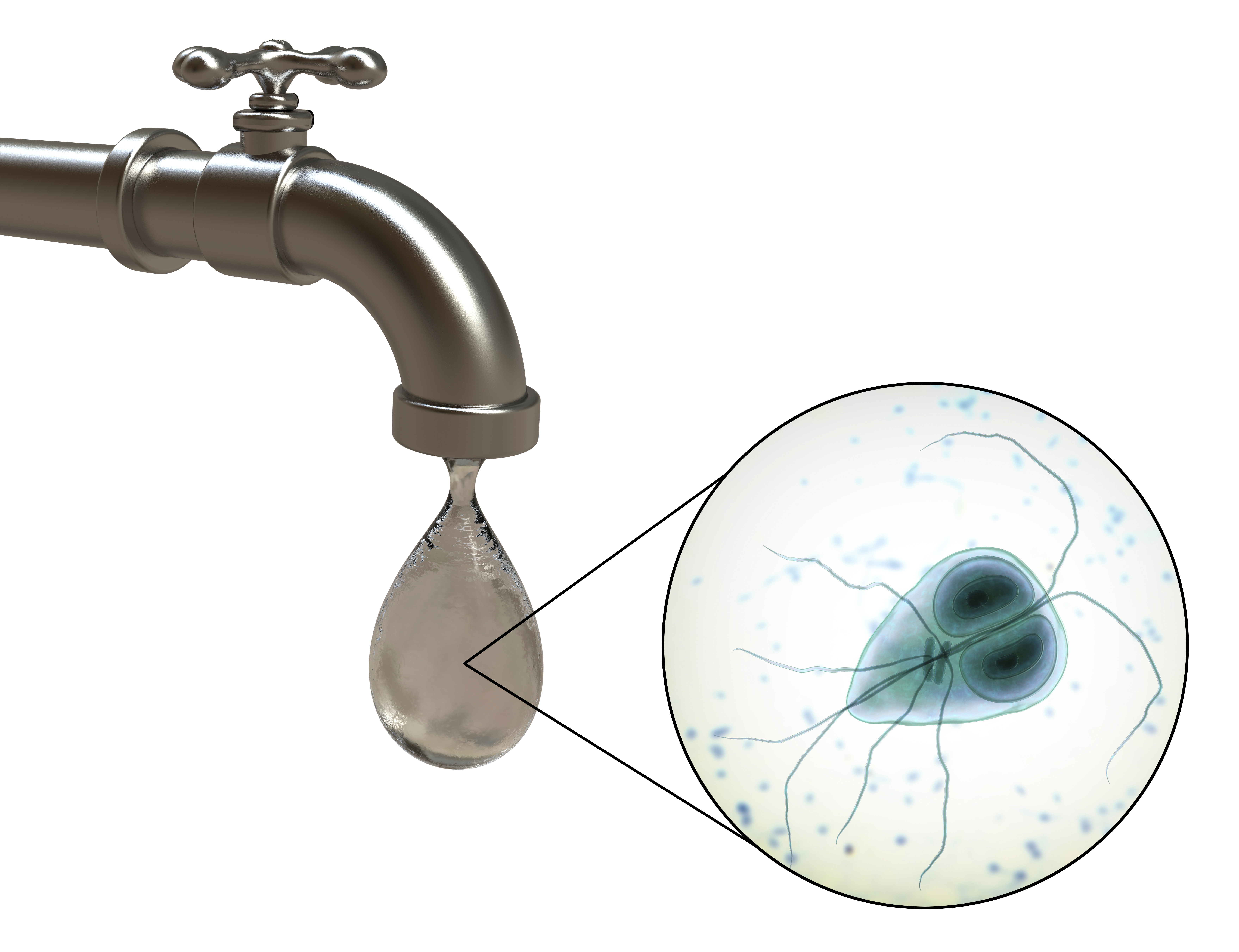 giardia tap