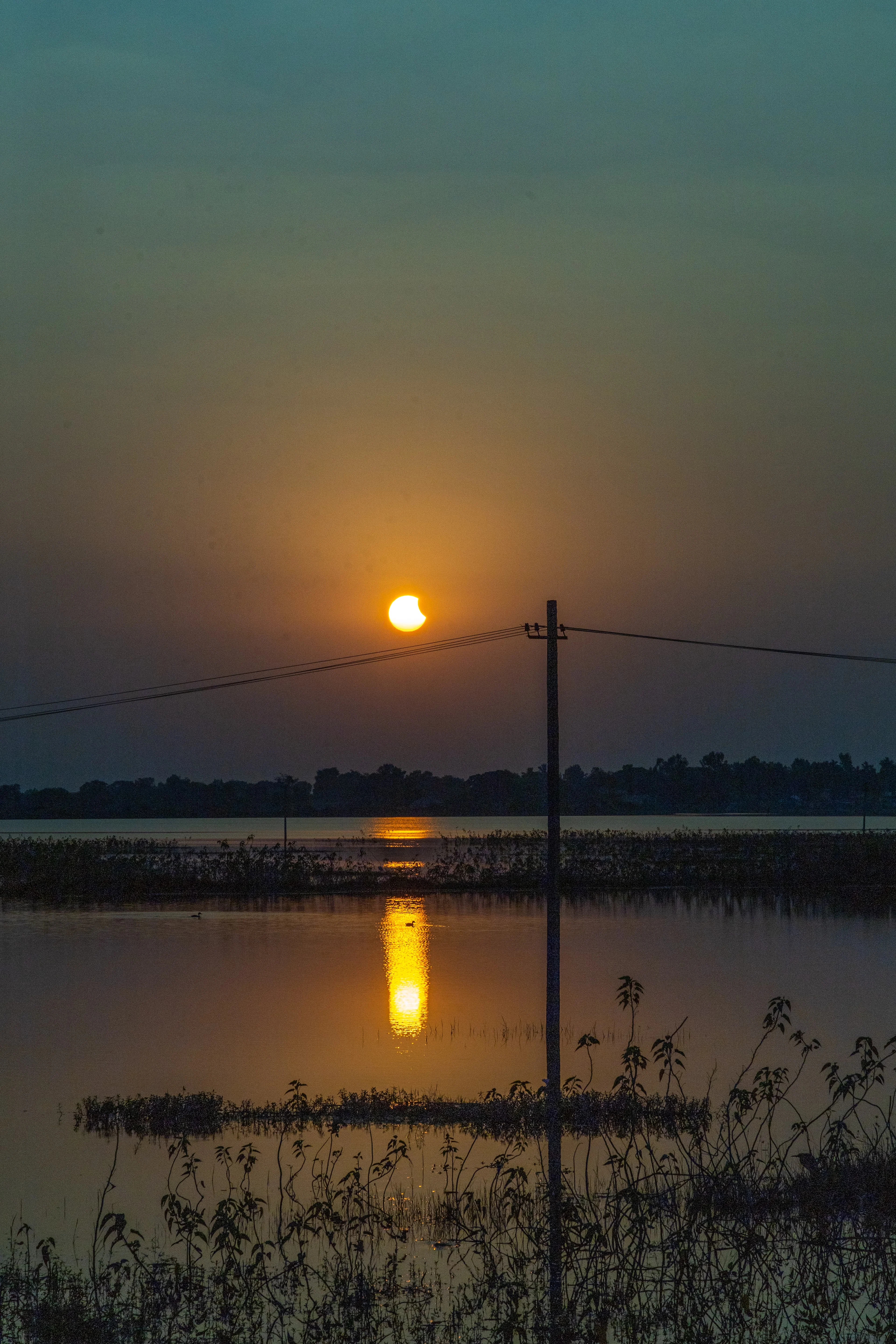 Eclipse, Sunset with the Duck