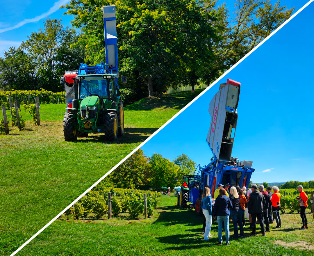 Un montage présente une machine agricole dans un vignoble ainsi qu’un groupe découvrant son fonctionnement lors d’une visite