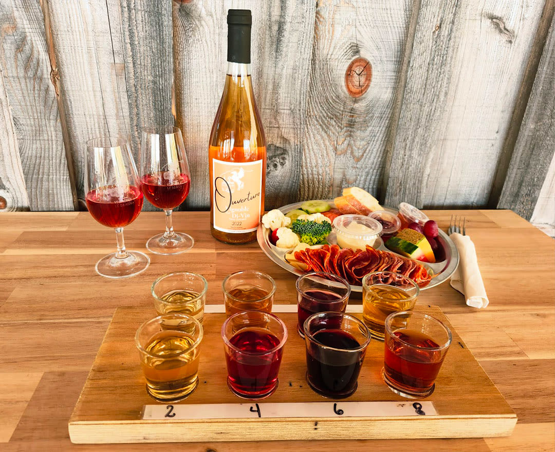 Vignoble Di-Vin: Une dégustation de vins accompagnée d’un généreux plateau de charcuteries dans une ambiance rustique et chaleureuse