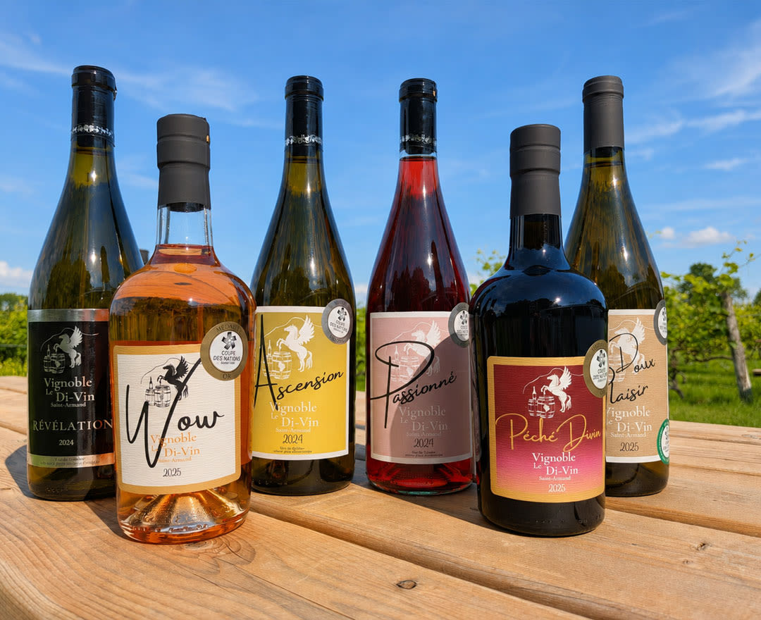 Vignoble Le Di-Vin: Une sélection de vins variés du vignoble, présentés en plein air sous un ciel bleu