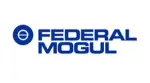 Federal Mogul-min