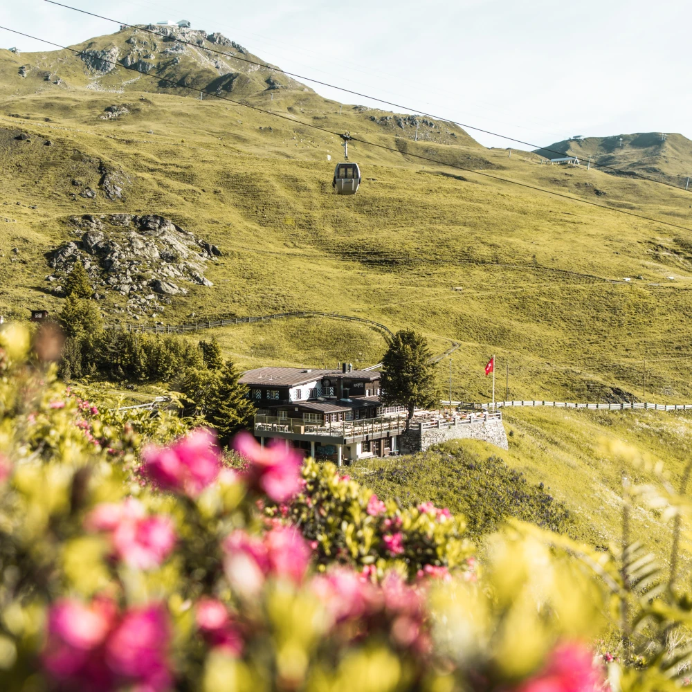 Partner Alpenblick Aussenansicht 3