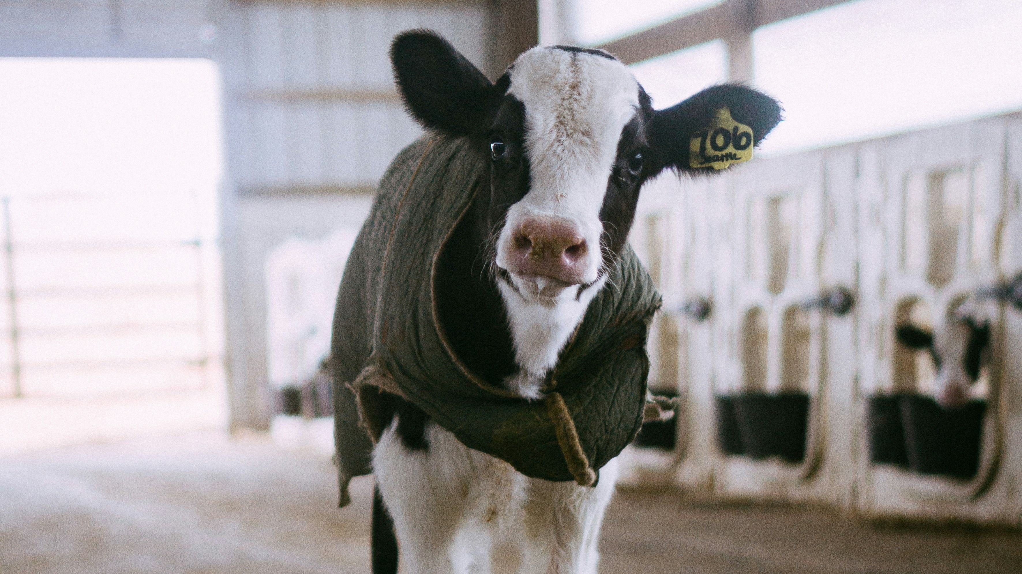 amber-kipp-Mm D kbvTUM-unsplash