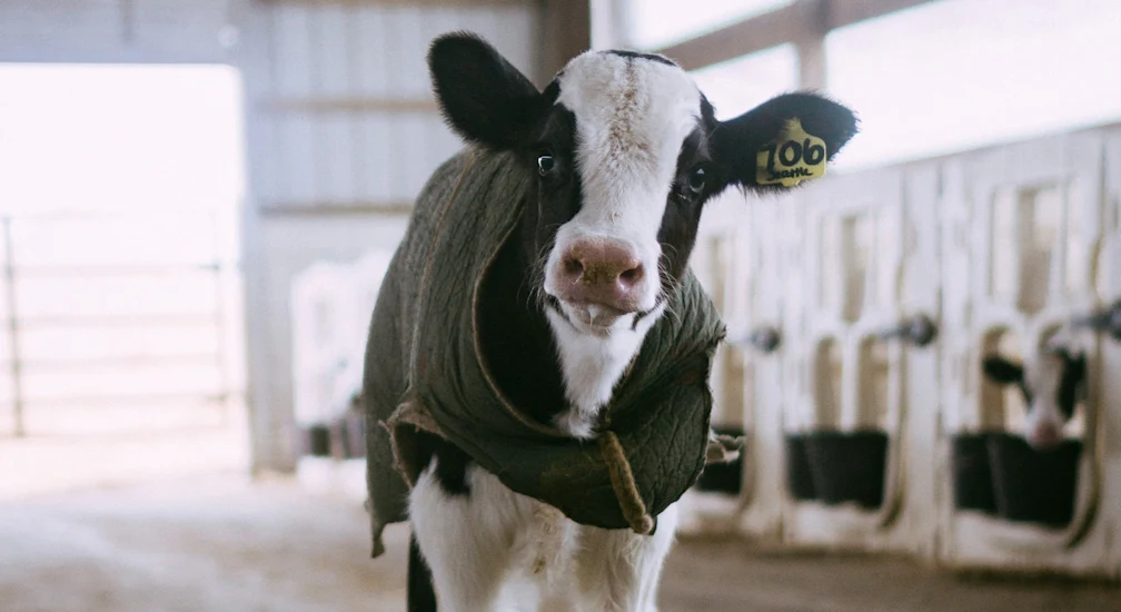 amber-kipp-Mm D kbvTUM-unsplash