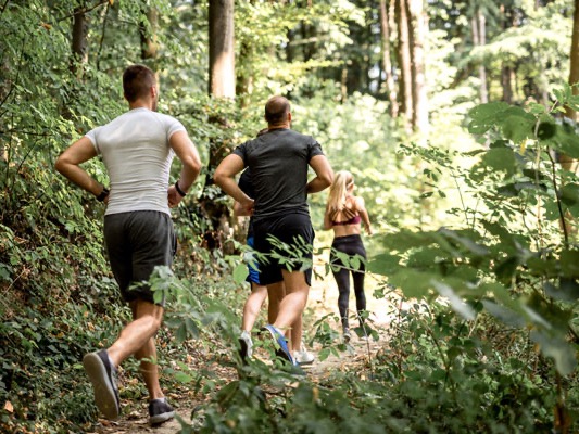 Three people are jogging along a narrow forest path through a lush, sunlit woodland.