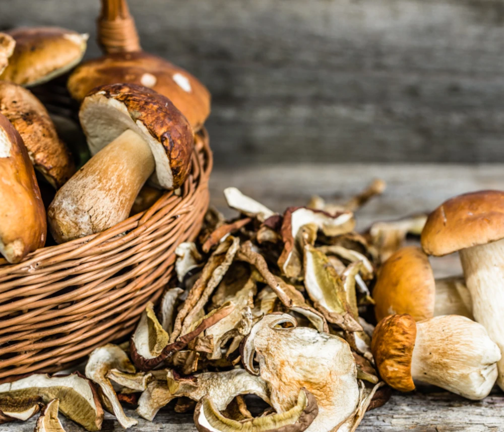 gifts-of-the-forest tuschegen valsana