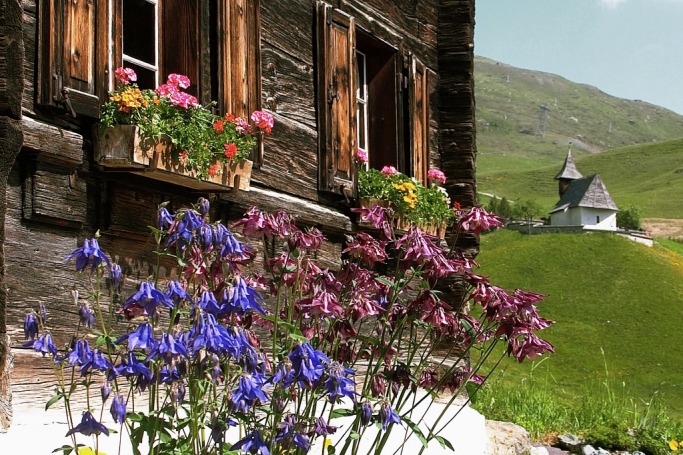 MoMo REST TGH VHA AT Eggahuus