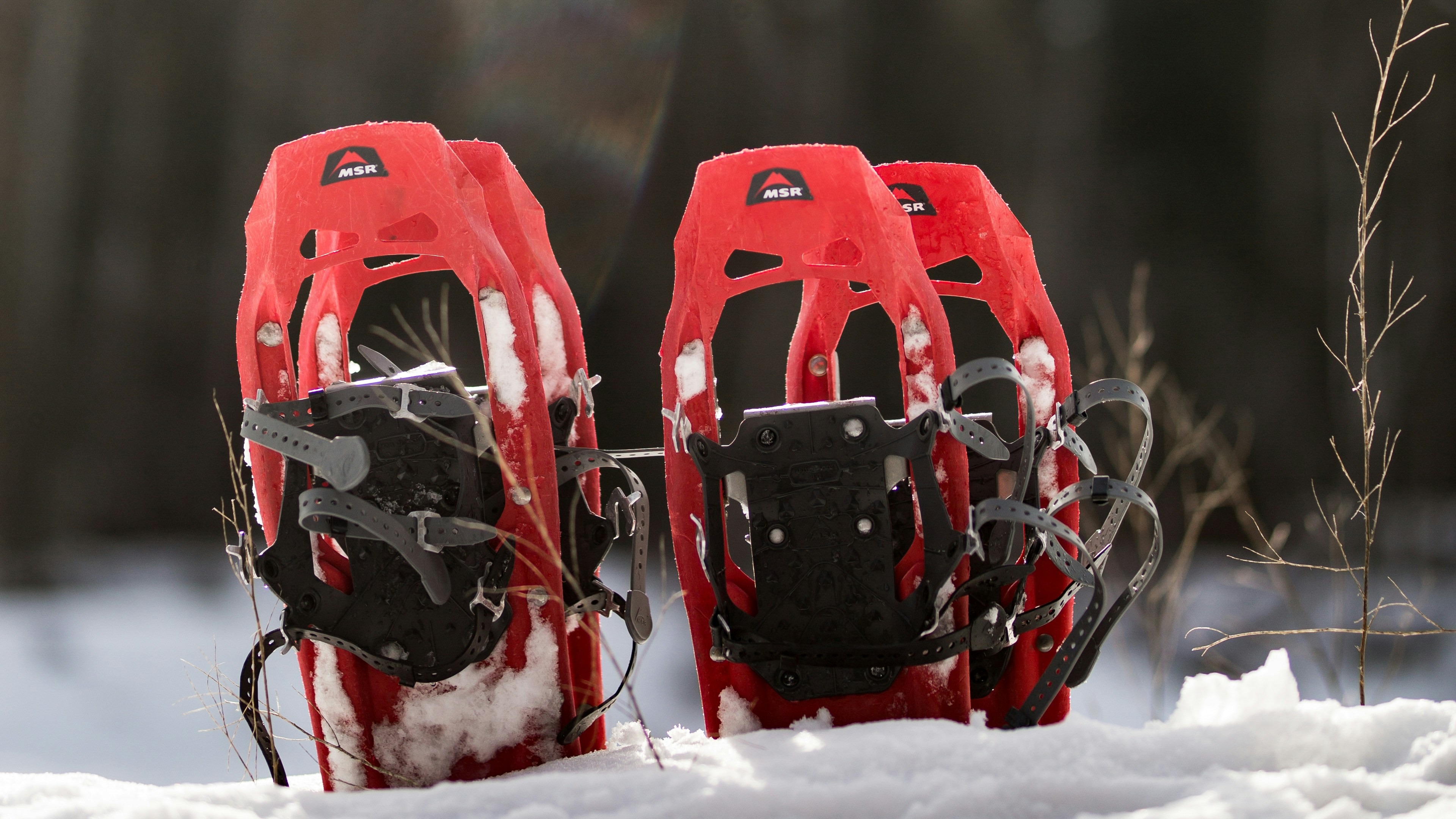 amanda-kuk-PkkzvyV0eek-unsplash