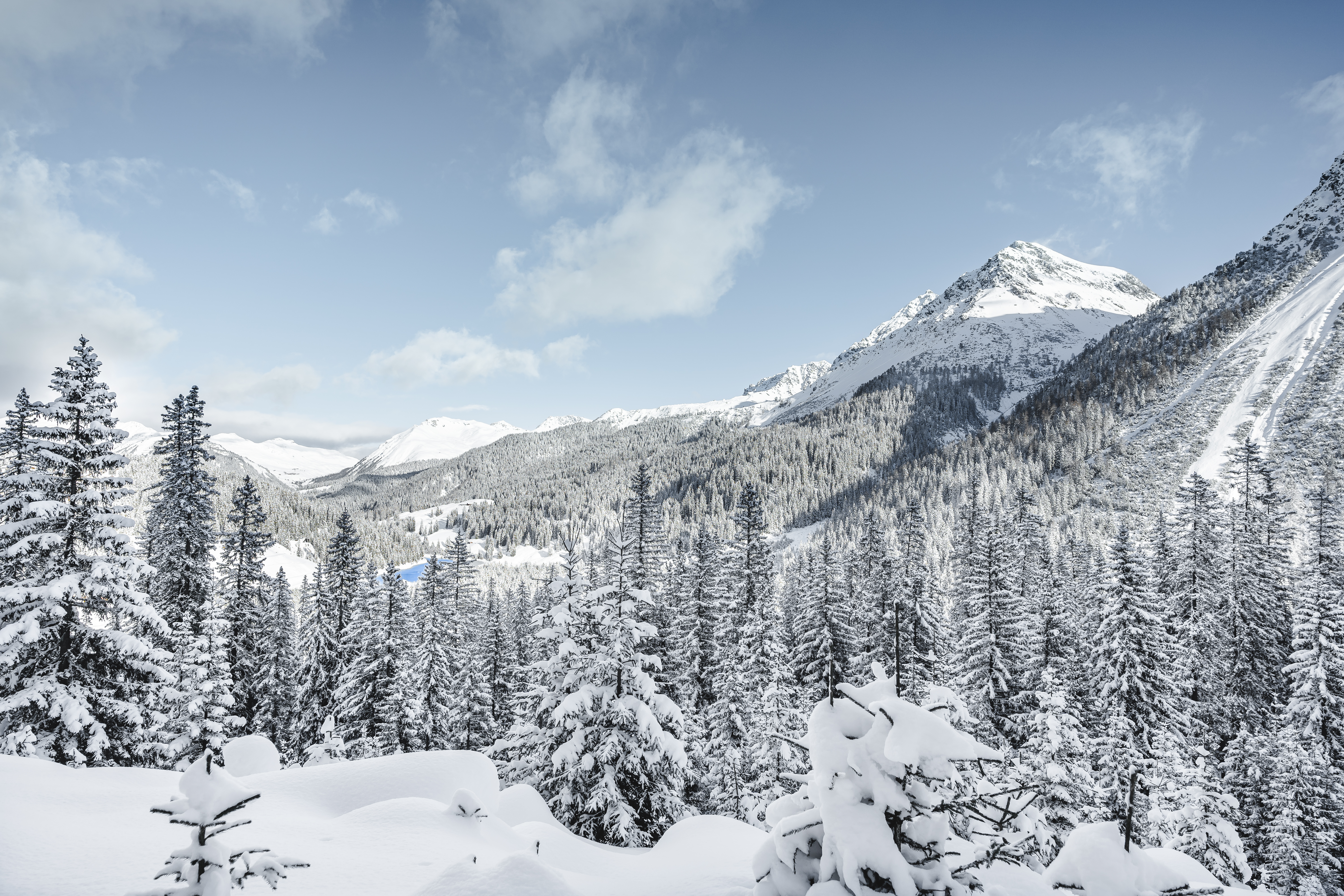 Winterbilder (3 of 3)-2