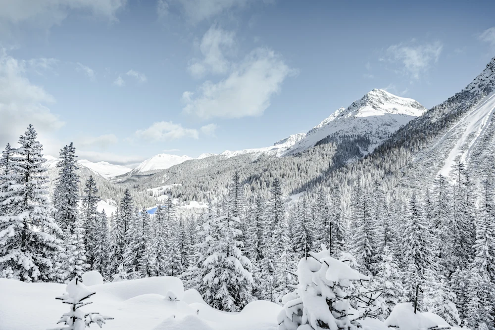 Winterbilder (3 of 3)-2