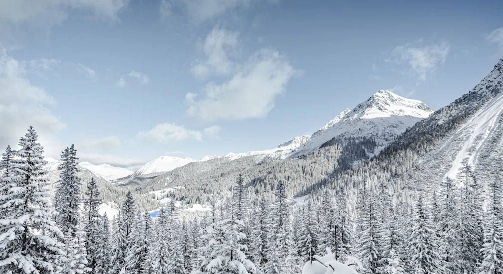 Winterbilder (3 of 3)-2
