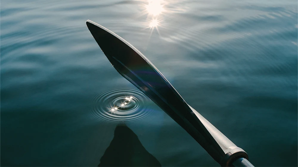 Eco tours by kayak and SUP