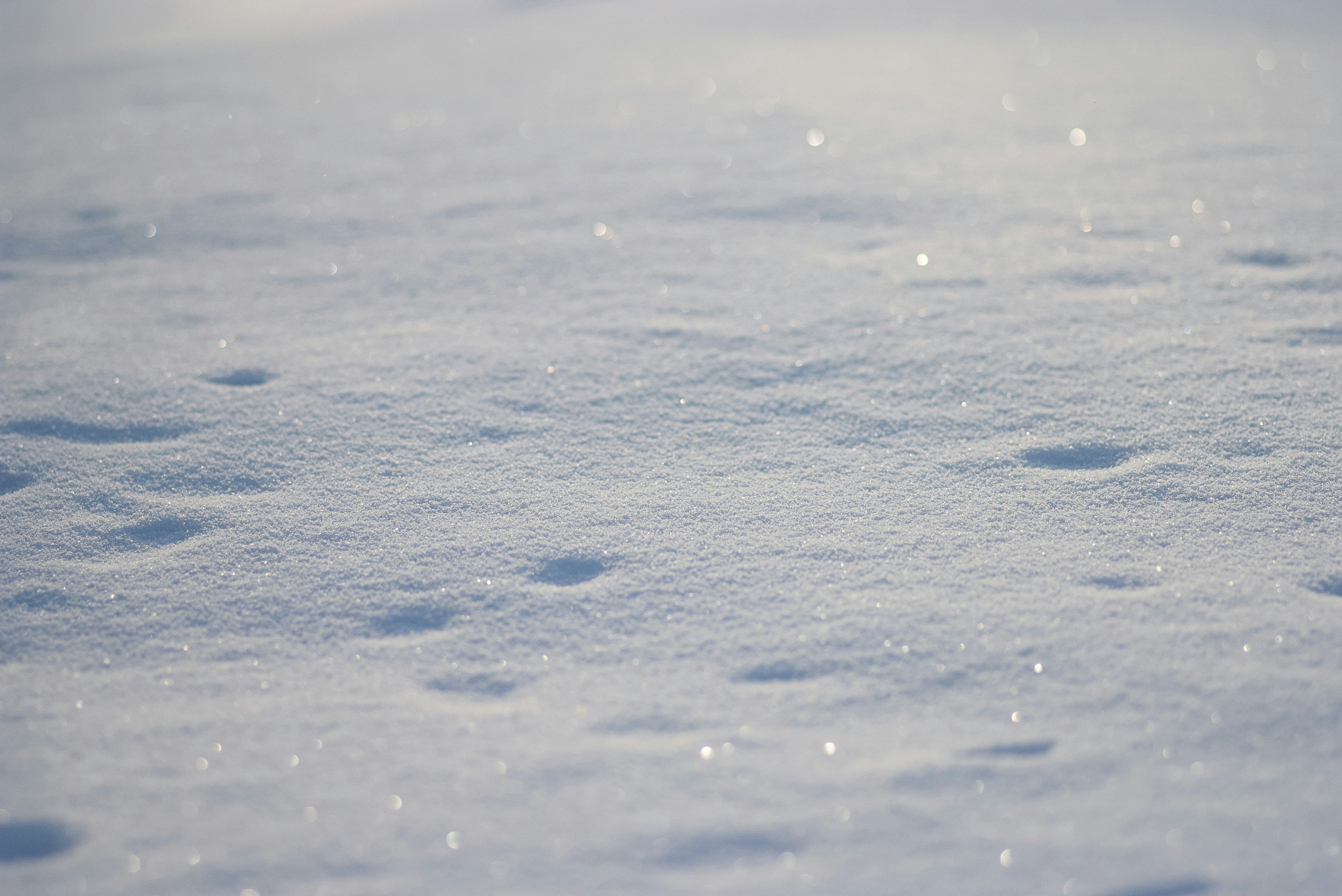 Close-up of a sparkling, slightly uneven snow-covered surface in sunlight with a softly blurred background.