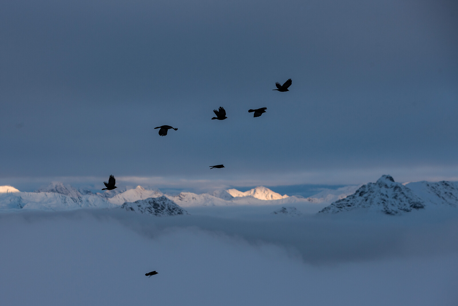 101 Sustainable Hospitality Award 2026