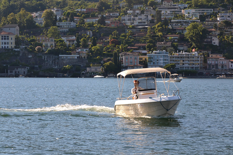 50036621452 0310b1a771 c